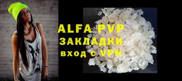 спайс Богданович