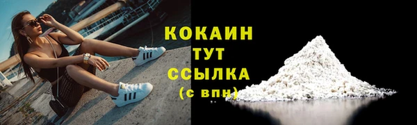 соль ск Богородицк