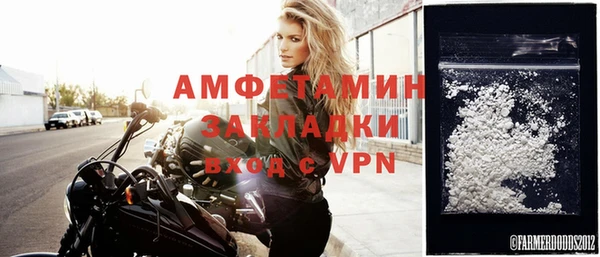 спайс Богданович