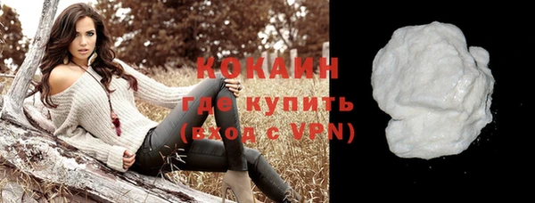 спайс Богданович