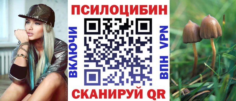 Галлюциногенные грибы прущие грибы MEGA маркетплейс Тольятти